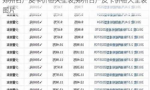 郑州皮卡汽车-郑州皮卡汽油价格表